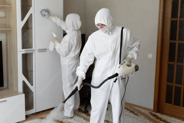 Professional Mold Remediation in Brooksville, FL